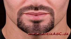 kort fip- og overskæg