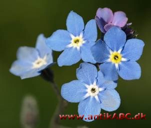  intens lys ultramarin