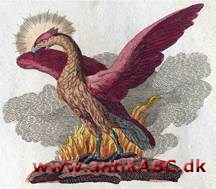 v i græsk myte en fugl, som hvert 500 år brændte sig selv og genopstod af asken. I kristen kunst symbol på opstandelsen