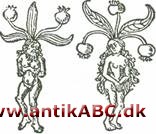 mandragora (græsk natskygge) = alrune