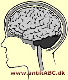 figurer illustrerer nogle optiske bedrag, der opstår når din hjerne danner et billede