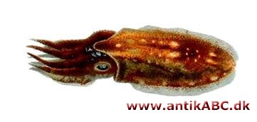 sepia (græsk) pigment i oldtiden fremstillet af væske fra blæksprutten Sepia officinalis, fra sort med svag olivenlød til rødbrunlig