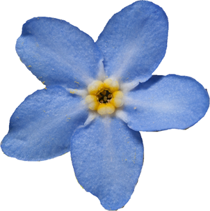 porcelænsblå farve