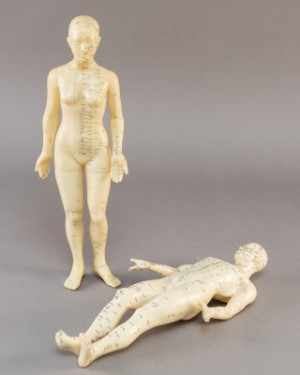 Anatomiske figurer